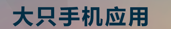 金牌大只