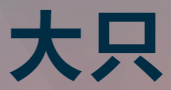 大只500代理