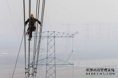 大只500app下载,大只500代理 大只,大只500注册地址
