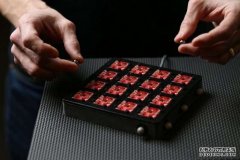 <b>大只马什么意思该算法可以改善大脑控制的假肢和外骨骼</b>