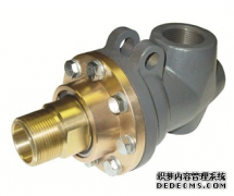 <b>大只马什么意思用于蒸汽、热油和水的旋转接头</b>