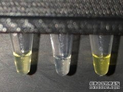 <b>金牌大只平台注册简单的传感器检测饮用水中的氟化物水平</b>
