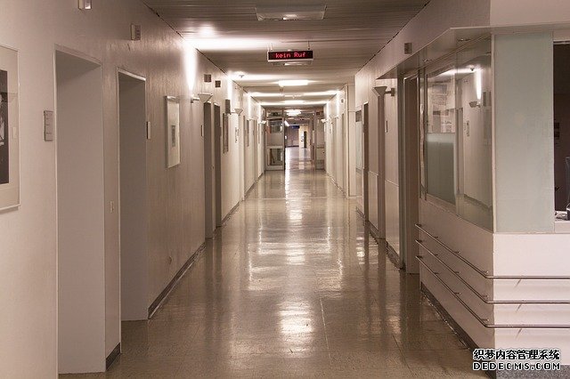 大只500注册地址,大只平台:,大只: