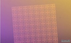 <b>大只500代理 大只提出了一种利用超薄介质制作二维电子器件的新</b>
