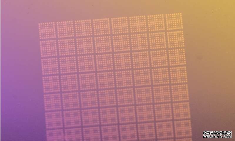大只500下载官网,大只500代理 大只,大只500官网平台