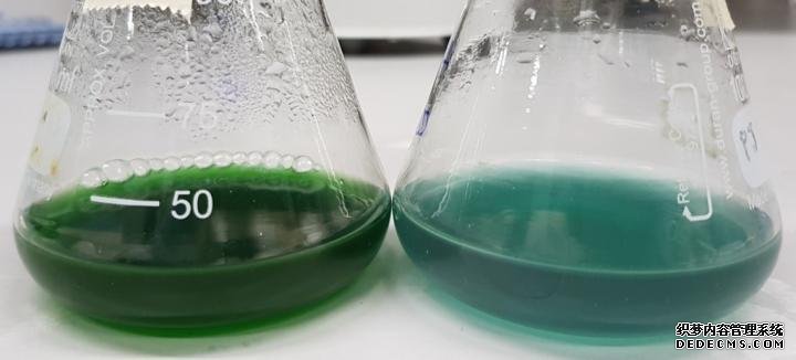 大只500注册地址,大只平台：,大只500平台靠谱吗