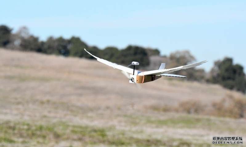金牌大只平台注册,金牌大只注册,大只500彩票登录