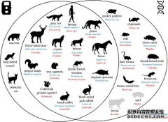 <b>大只500代理主管是谁用环境DNA追踪野生动物多样性</b>