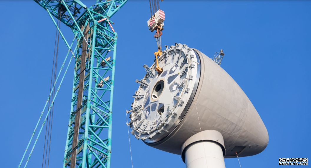 大只500app下载,大只500下载官网,大只500代理 大只