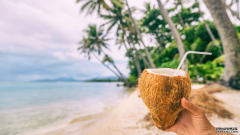 <b>大只什么意思最后，真正最好的替代臭名昭著的塑料吸管</b>