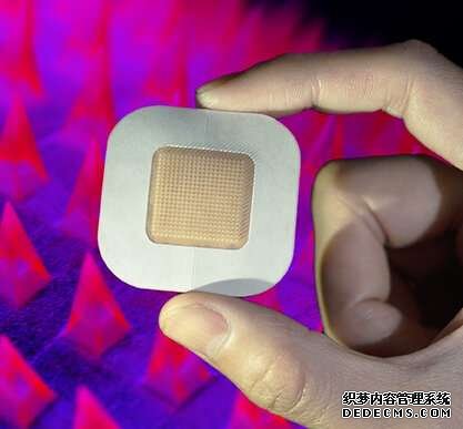 大只：,大只500平台靠谱吗,大只500登录中心